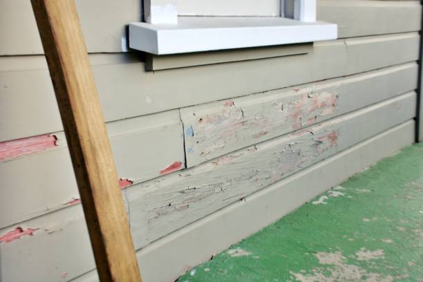 Best Weatherproofing and Sealing  in USA